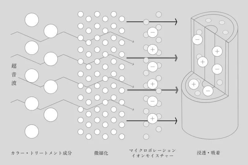 【Lattractions】ラトラクションコーム