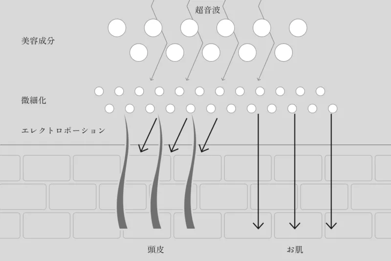 【Lattractions】ラトラクションコーム